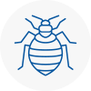 Bed Bug Extermination In Frodsham